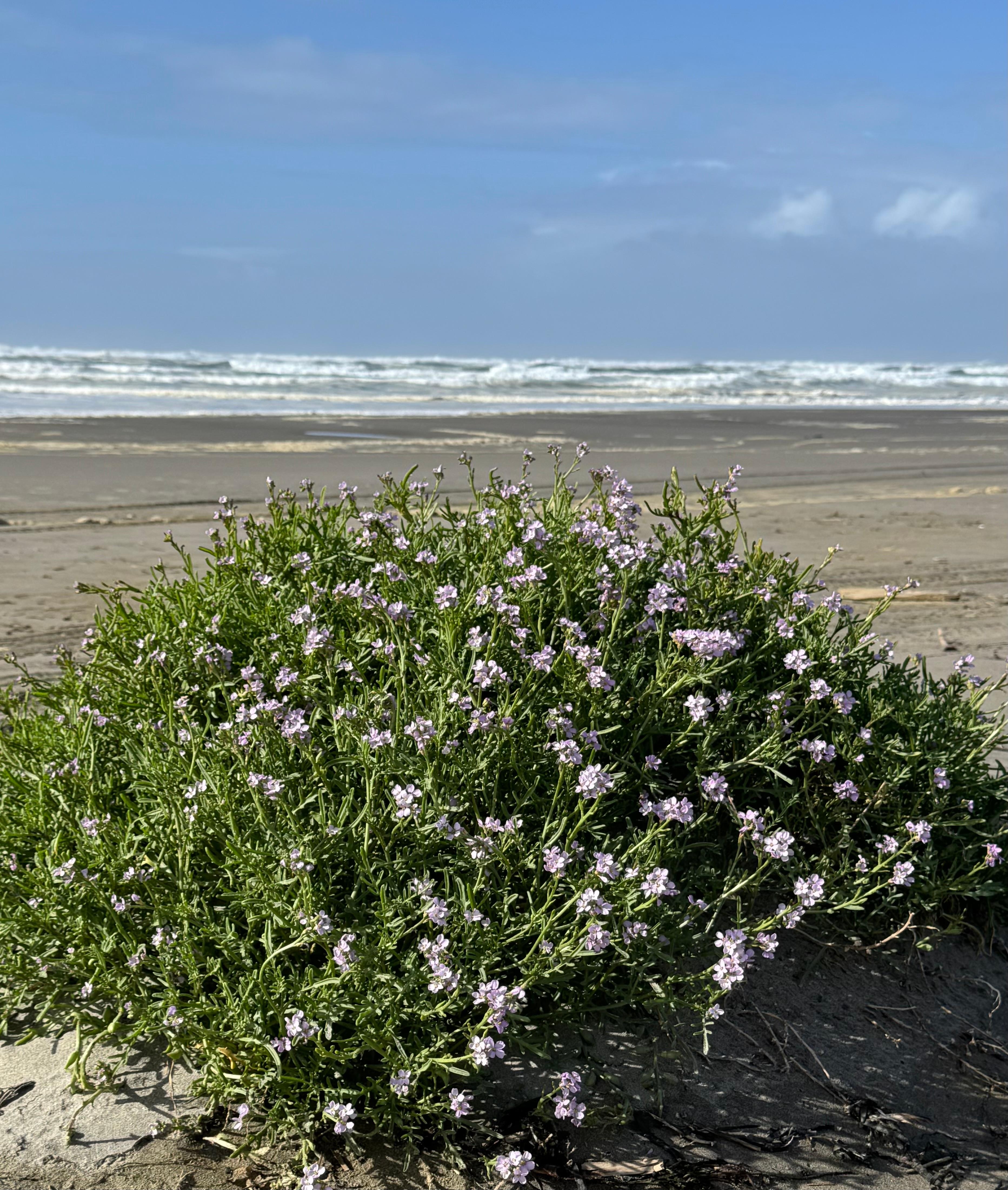 Lots of nice weather for October!