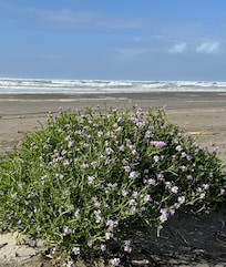 Lots of nice weather for October!