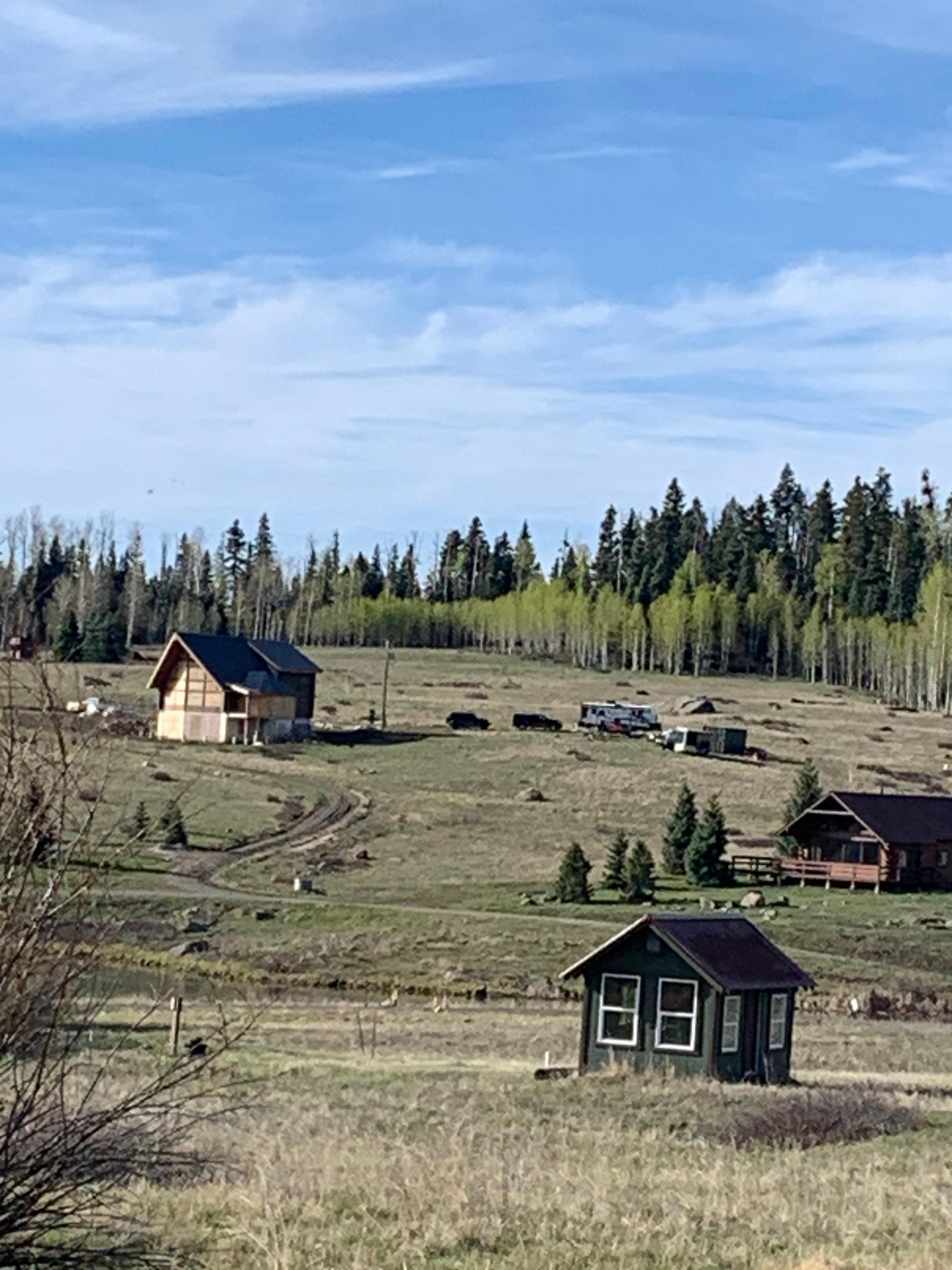 Watched elk feed on the m aria behind the cabins.