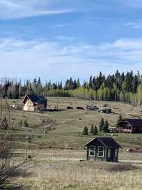 Watched elk feed on the m aria behind the cabins.