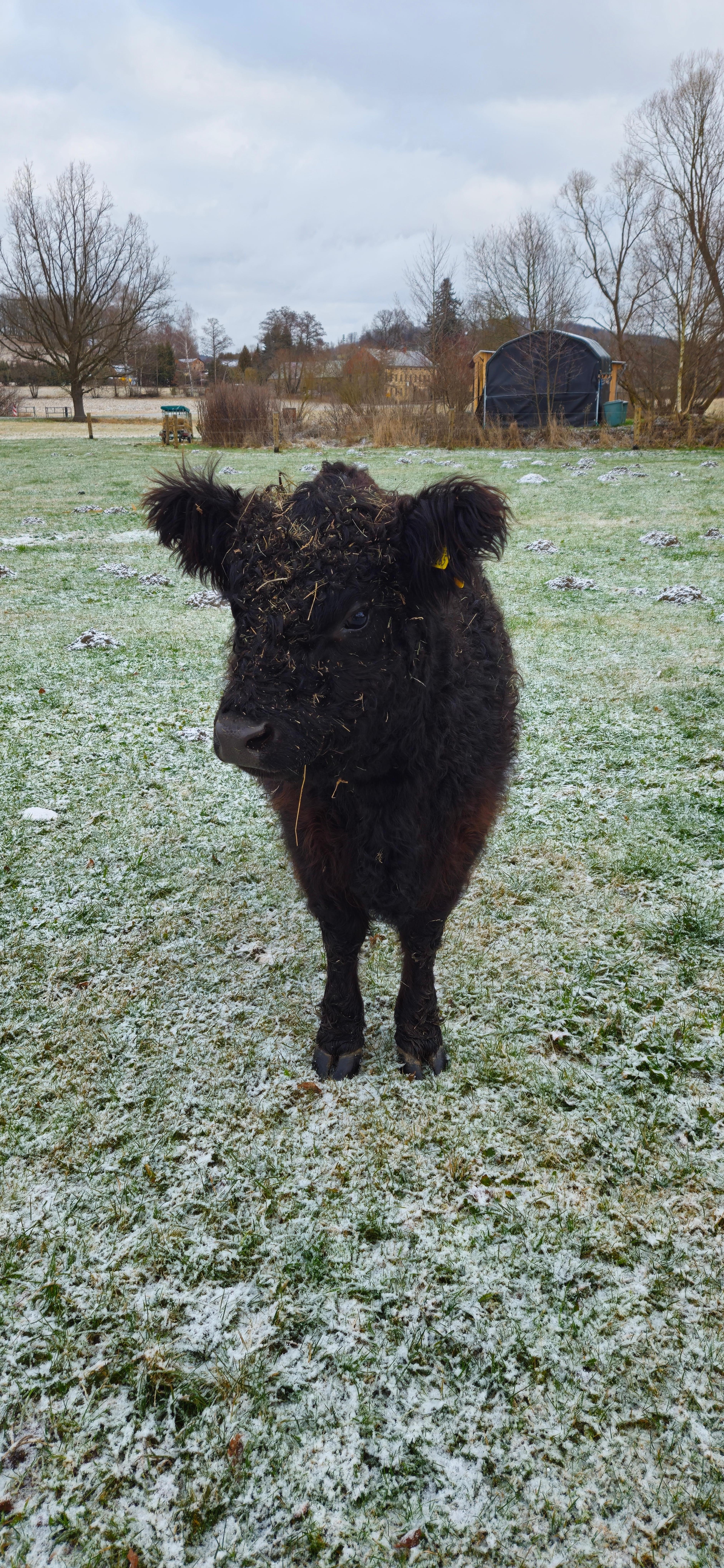 Tierische Begegnungen 