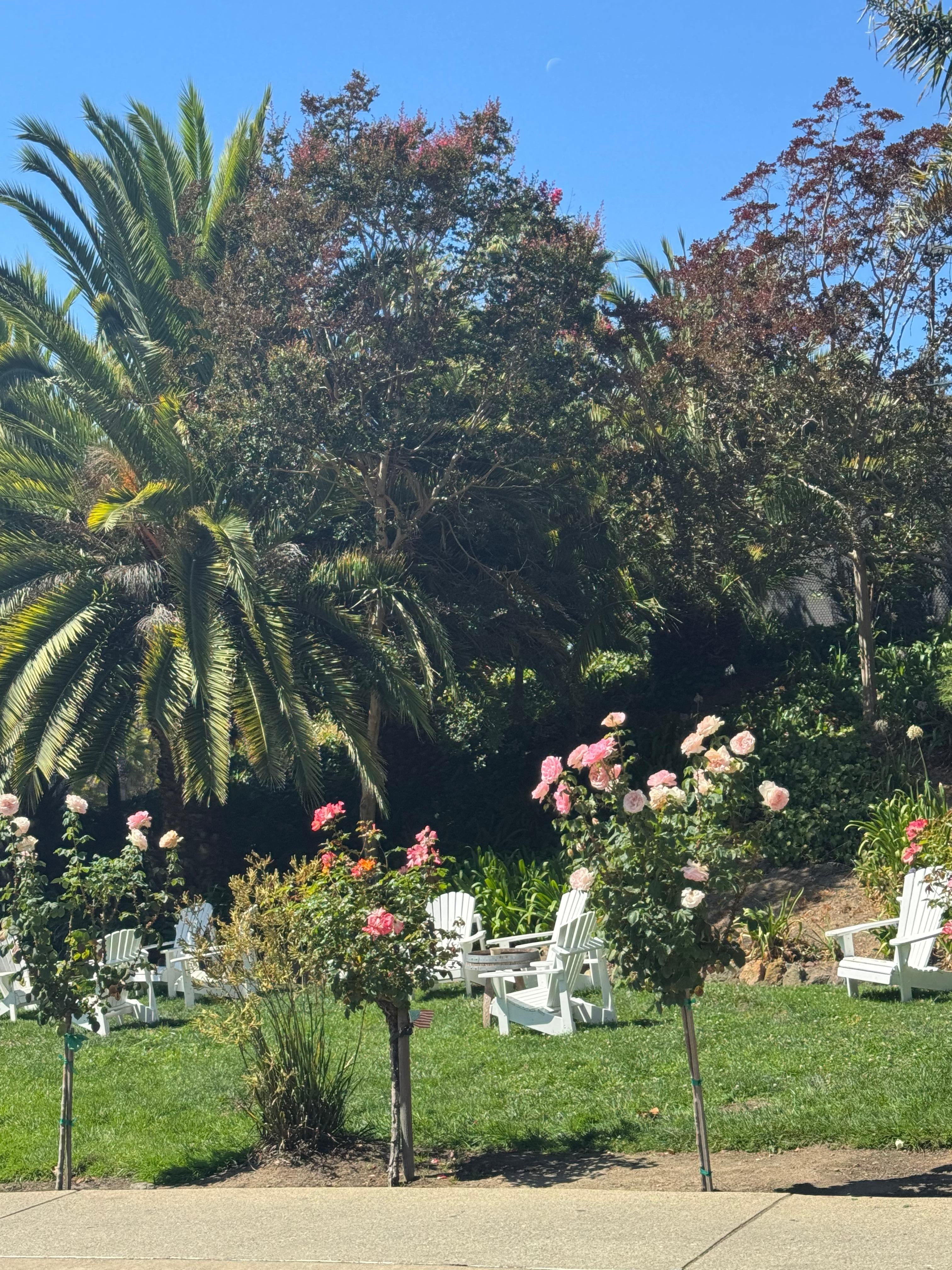 Had coffee in this sweet little garden