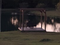 Serene swing near the water