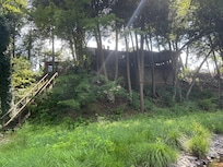 Looking up to the cabin from the creek