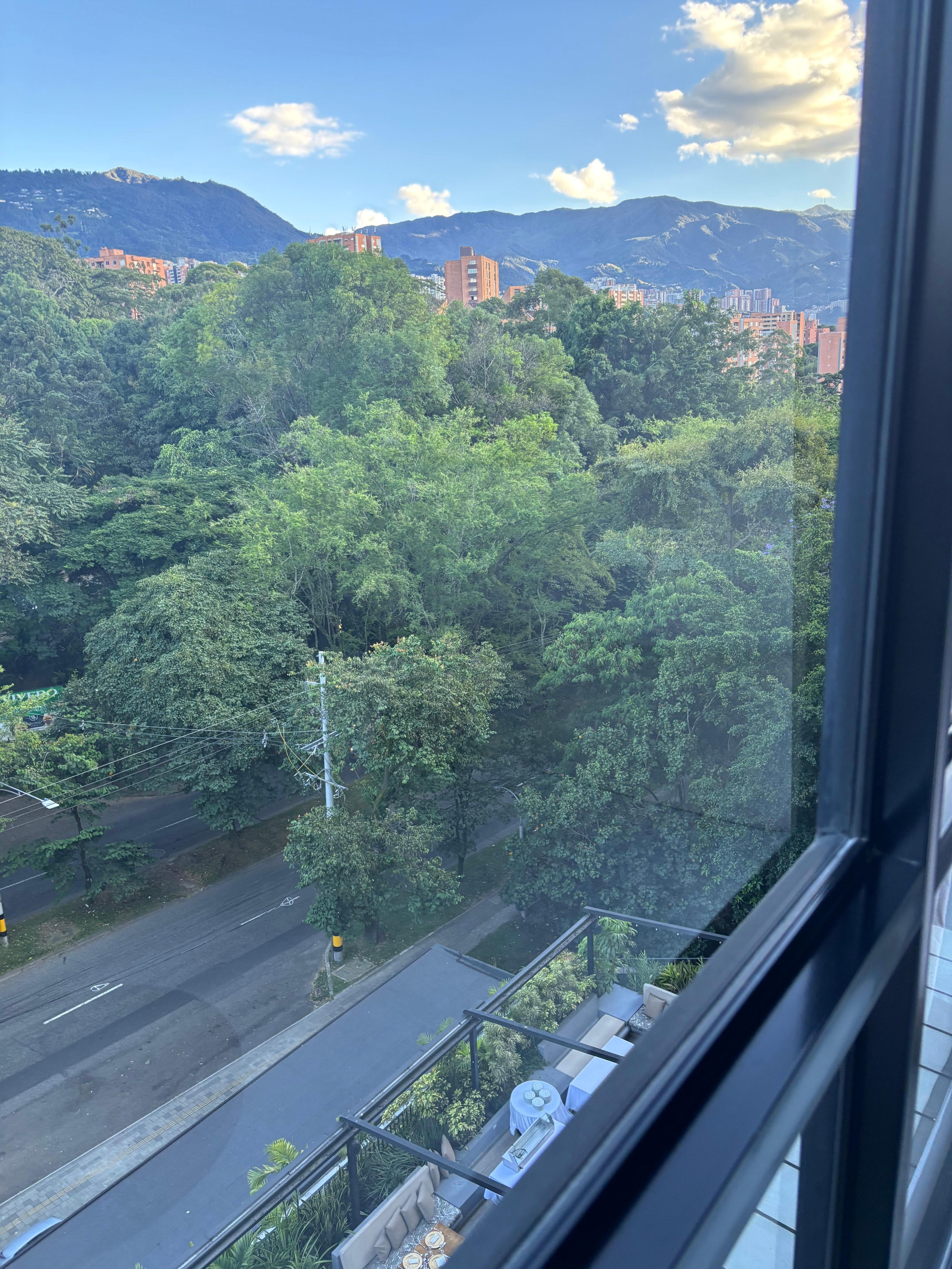 Vista desde la habitación 