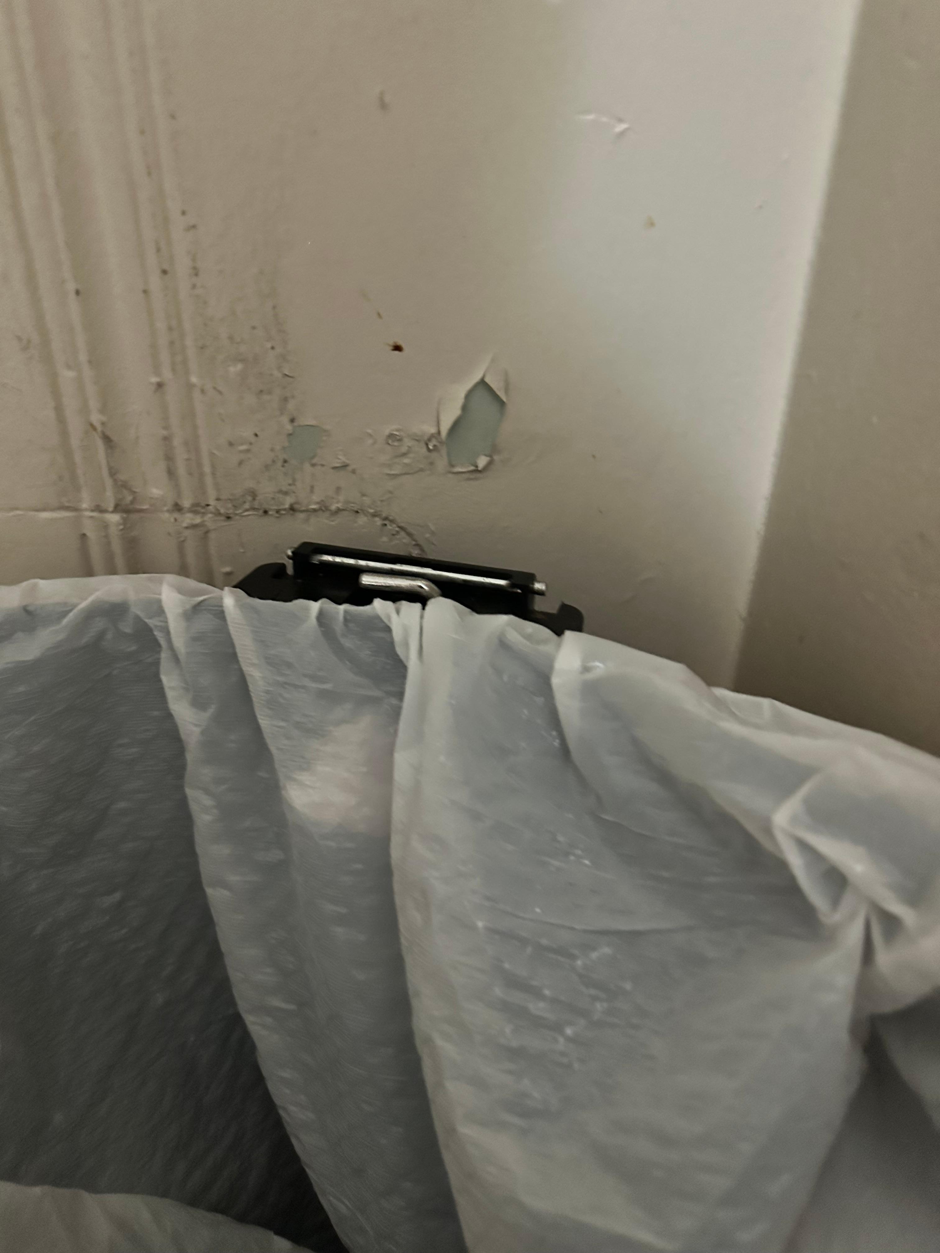 Paint chipping behind the trash can 