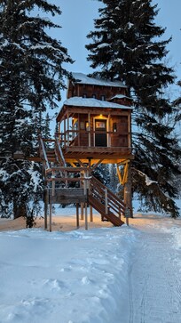 View of the treehouse