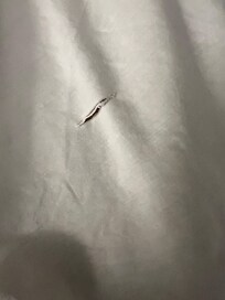 Torn sheets