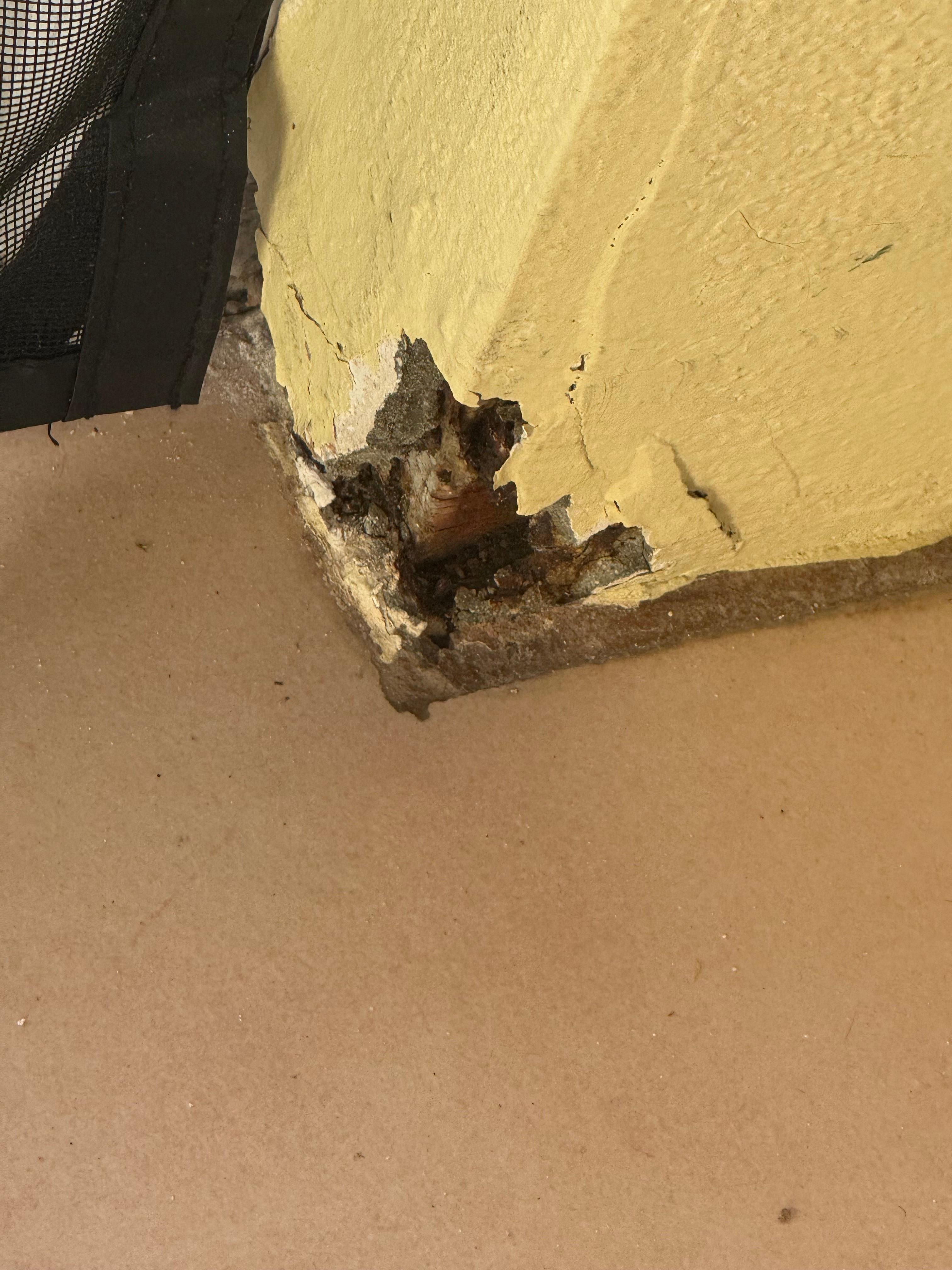 Condition in living area 