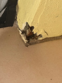 Condition in living area