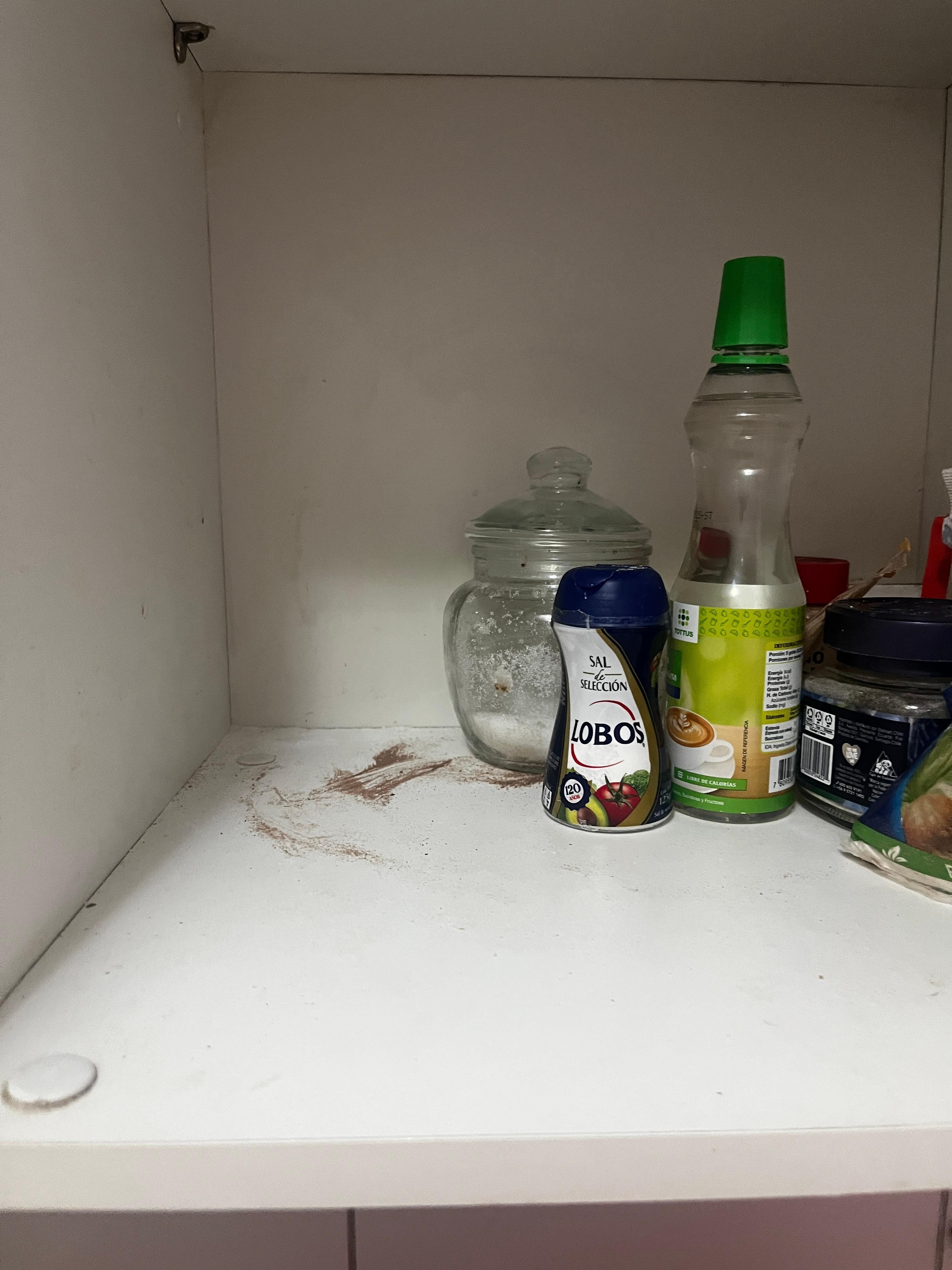 Forty kitchen cabinets