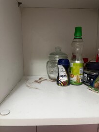 Forty kitchen cabinets