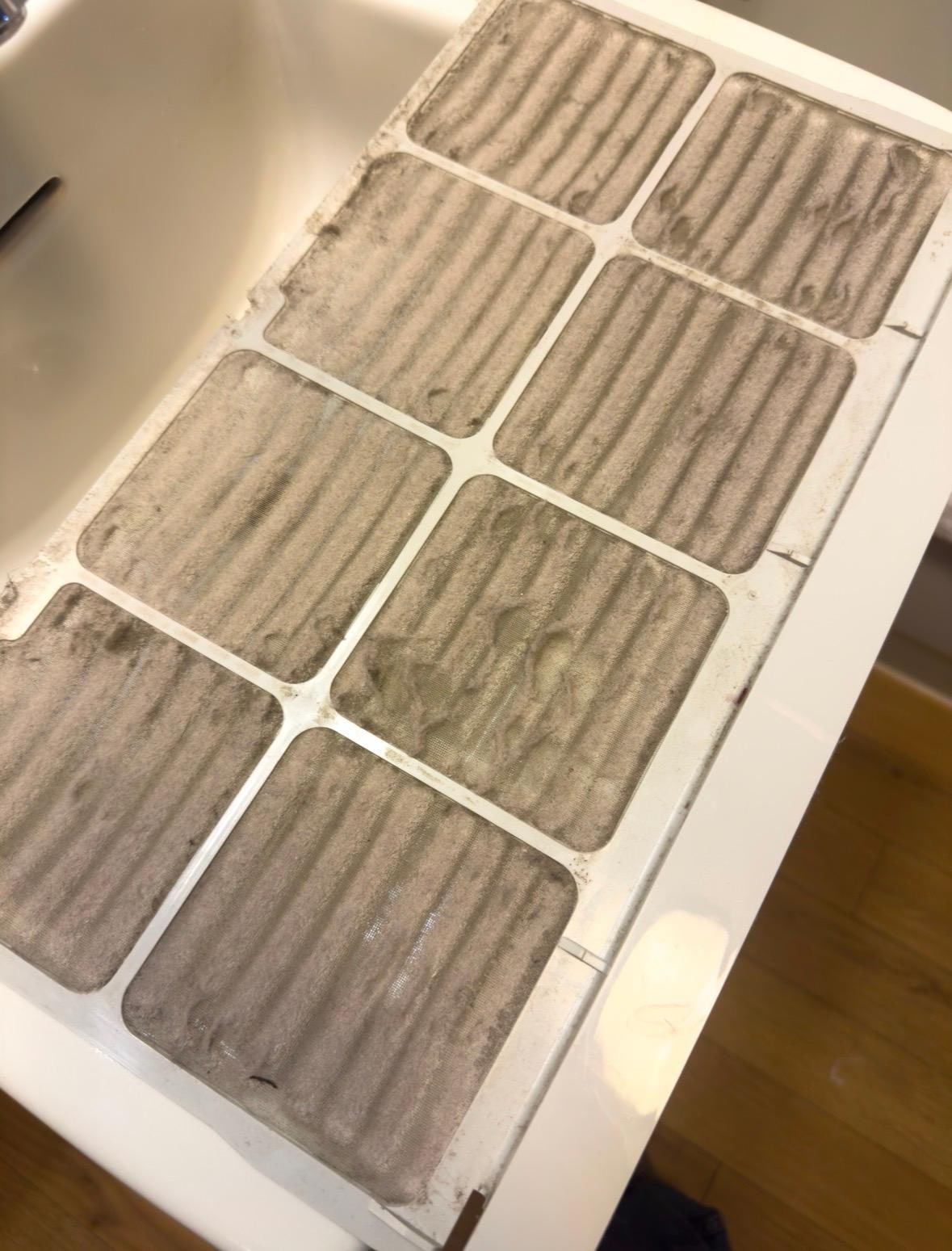 Filthy air filters 