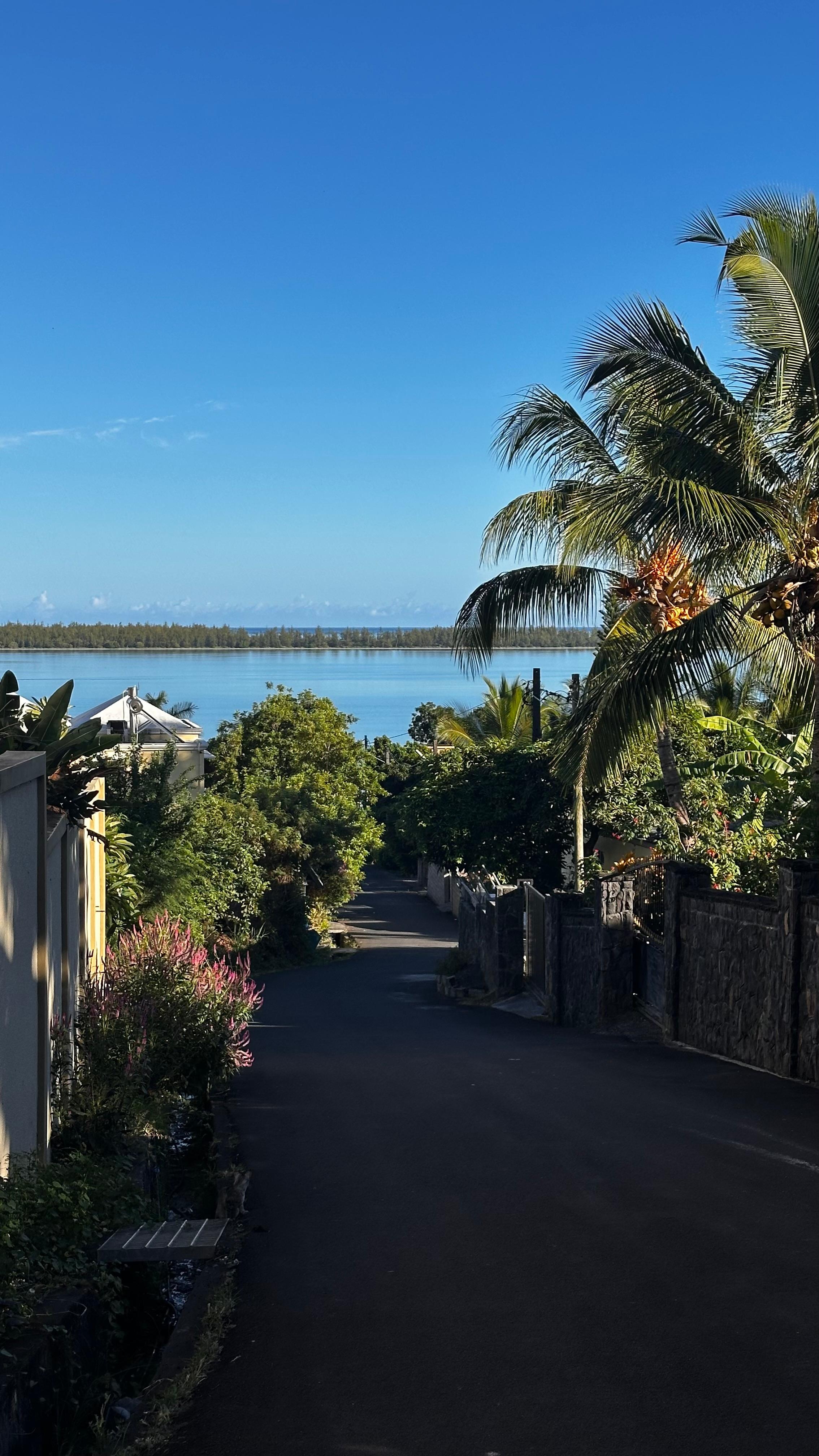 View onto the ocean from right next to the guesthouse 