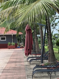 Beautiful site on hotel compound