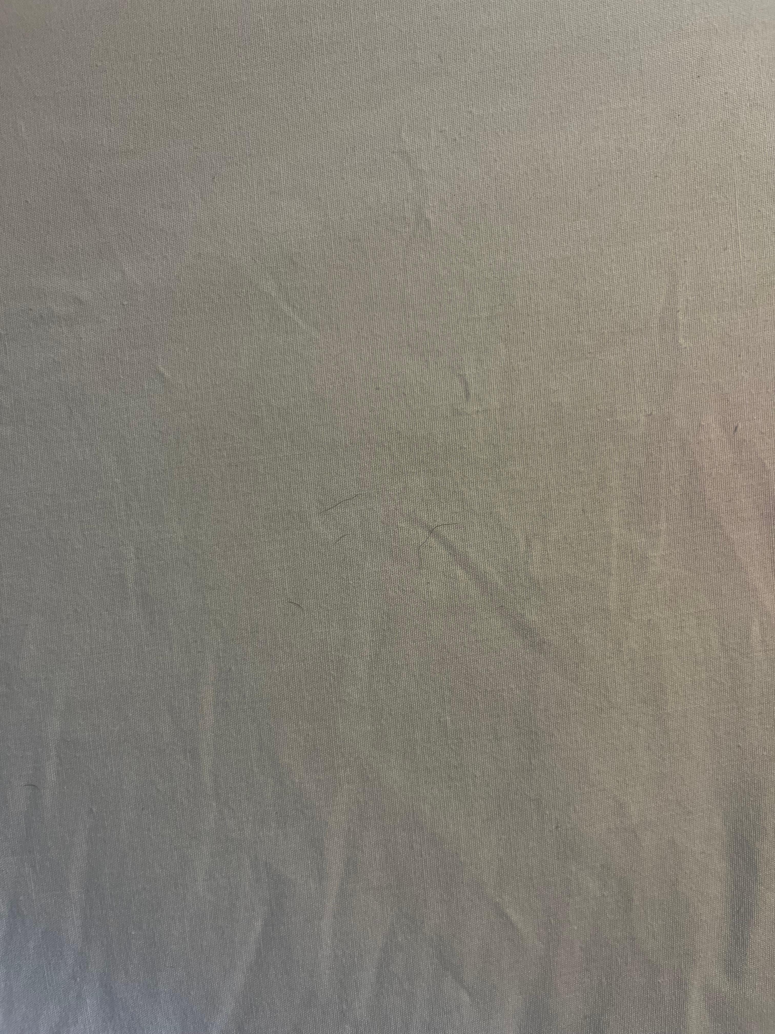 Hair and stains on the sheets