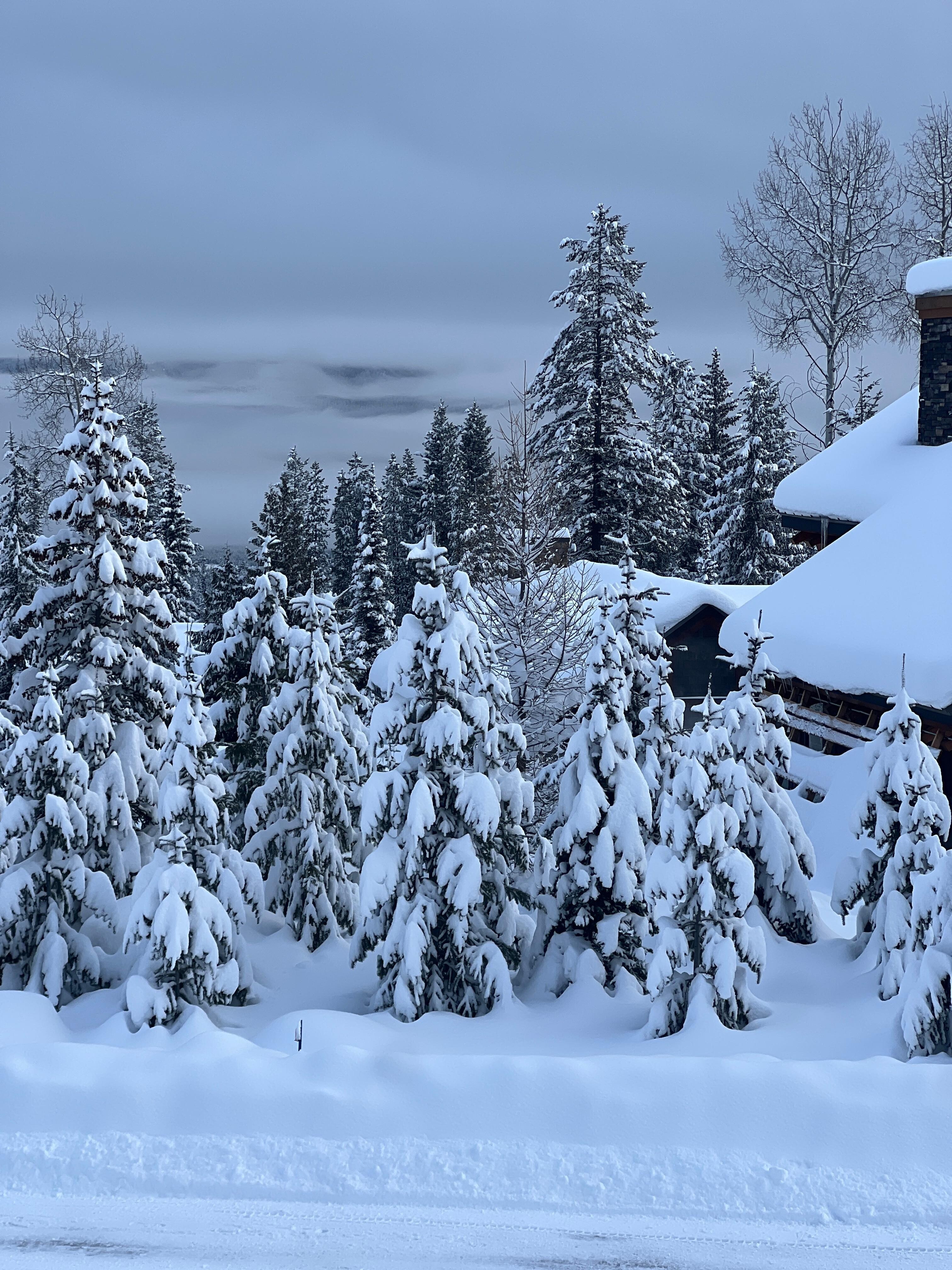 The view from the kitchen 😍