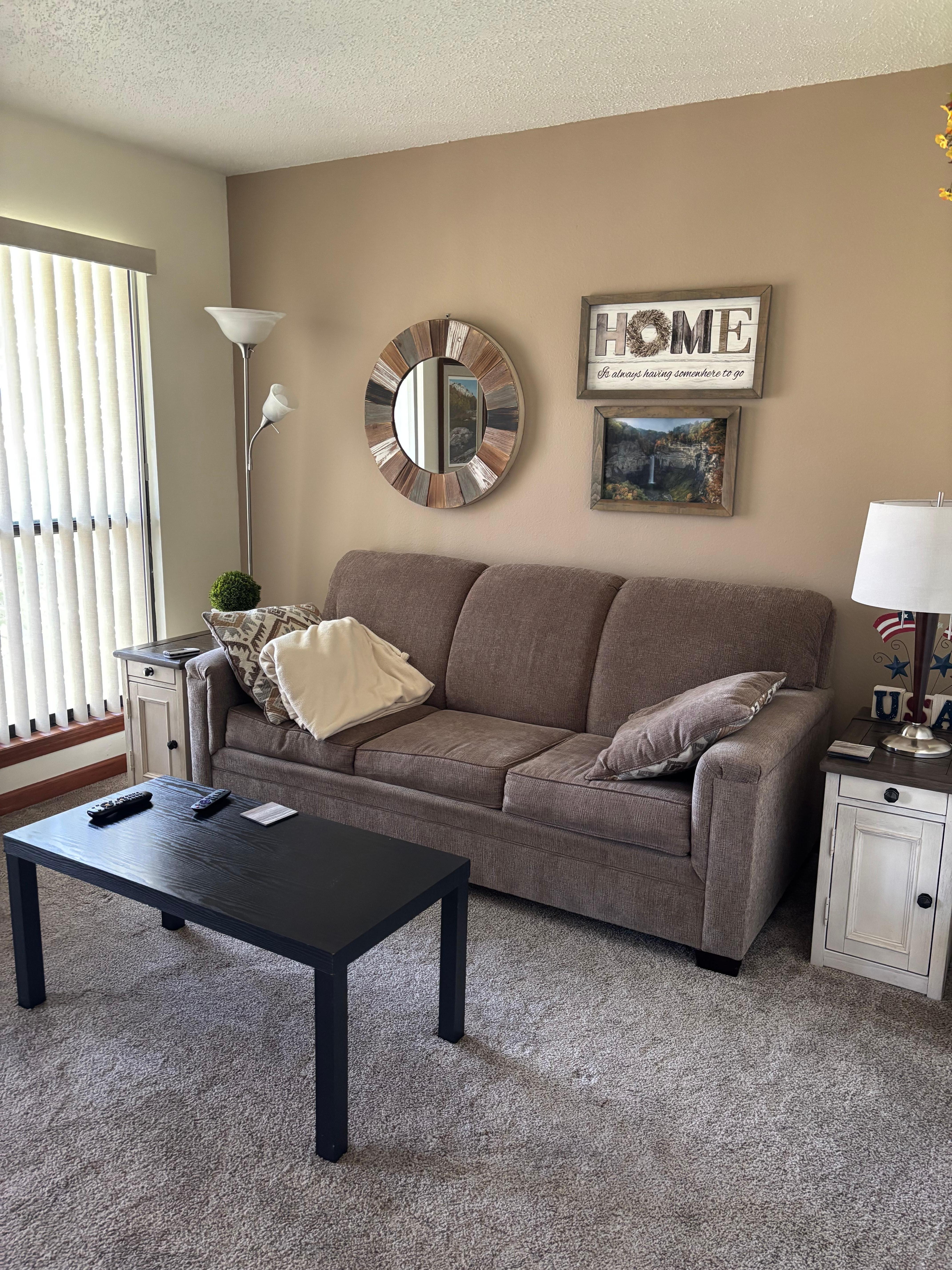 Living area with a hide-a-bed.