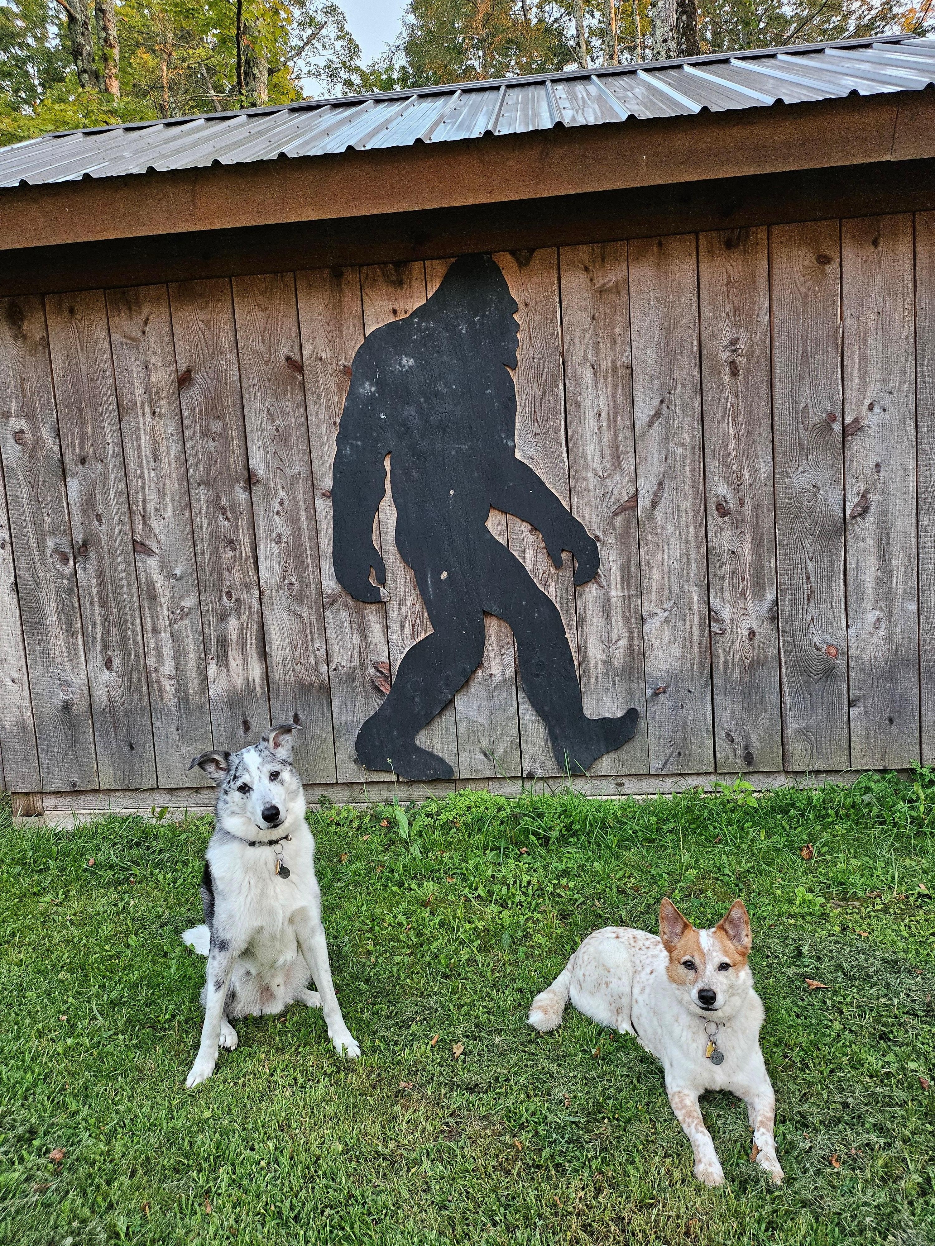 As a squatch fanatic, this was a great surprise to see on the side of the shed!