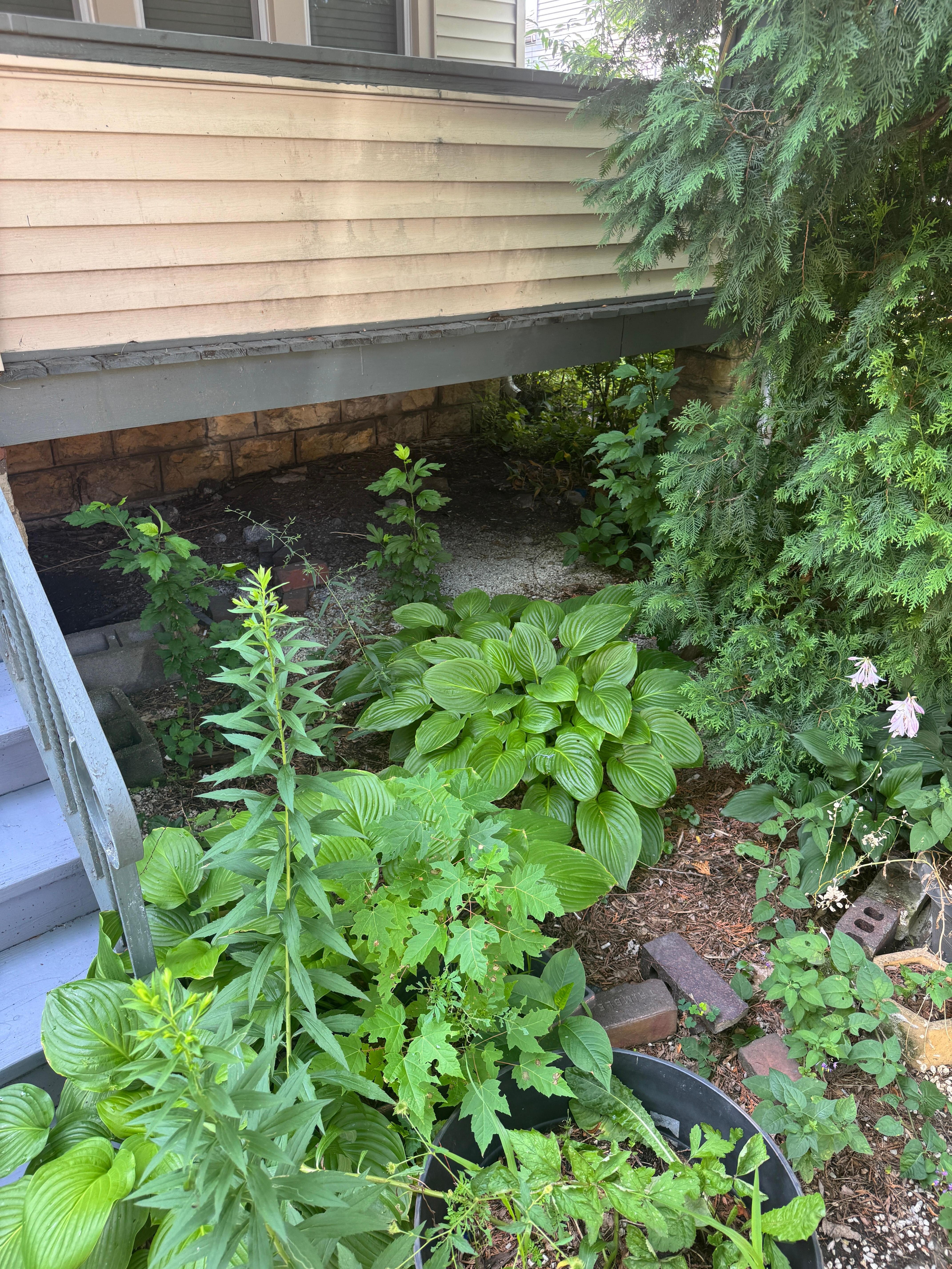Horrible landscaping, looks abandoned. 