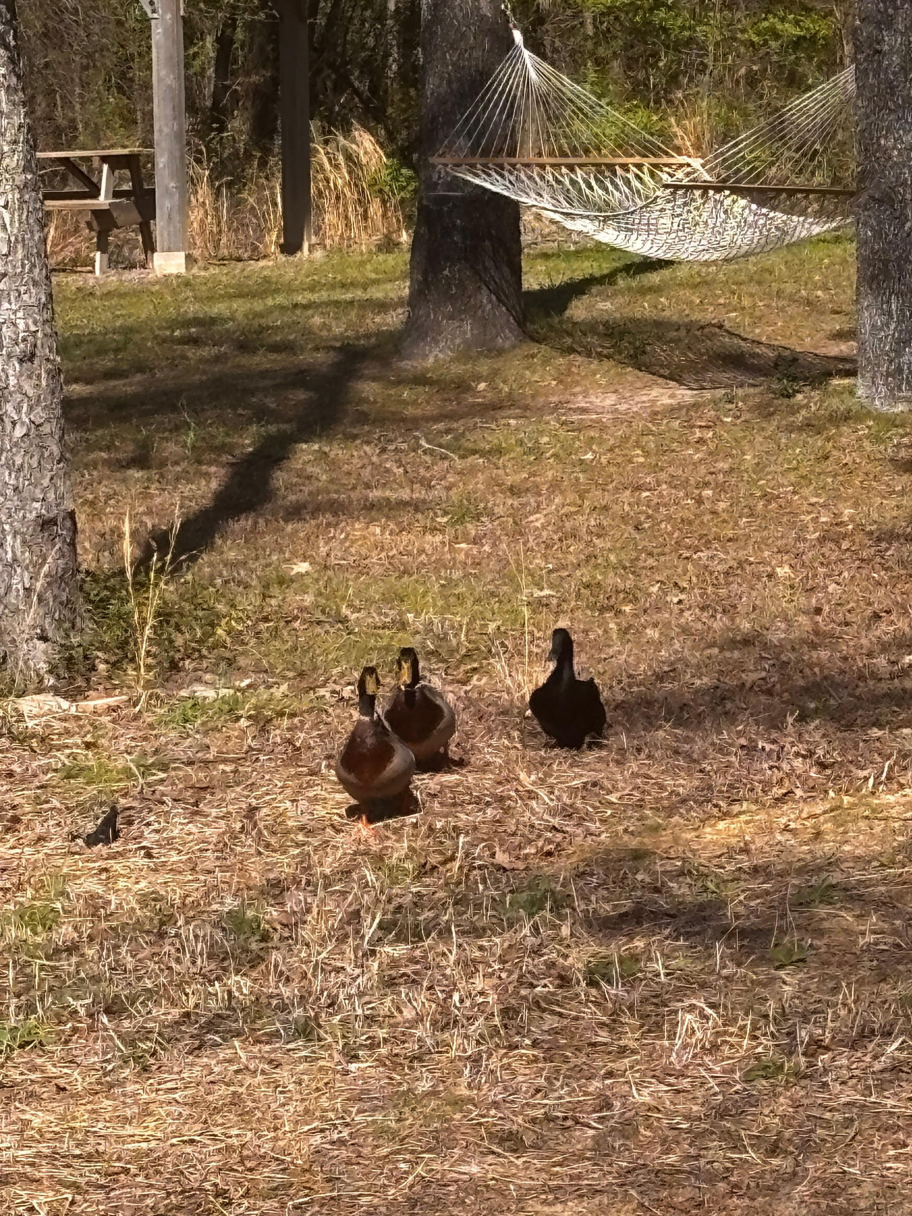 Some of our visitors