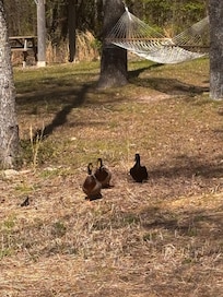 Some of our visitors