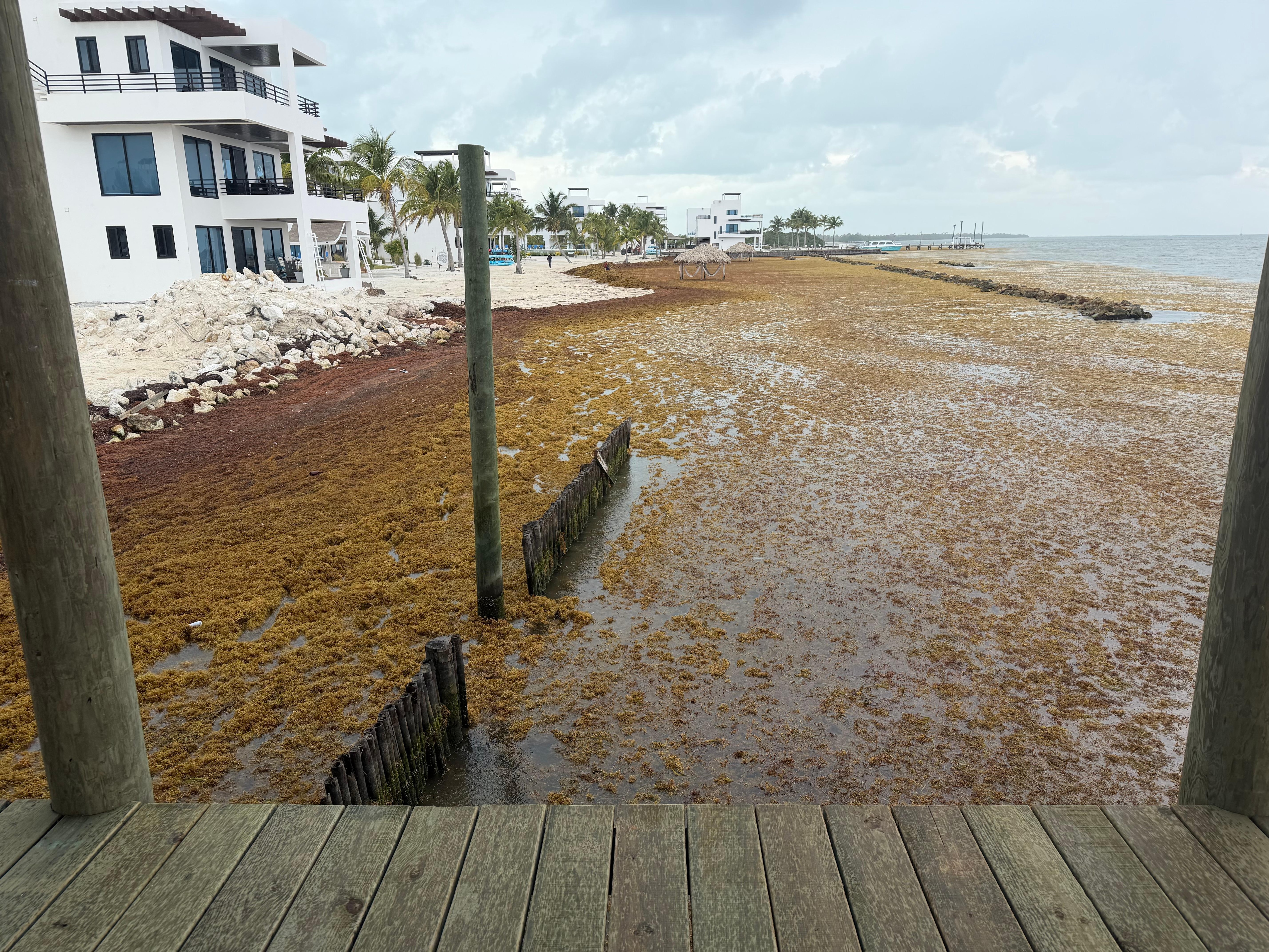 Bad season for sarcasm. They are out there trying to dig it out and haul it off but it’s a huge problem.