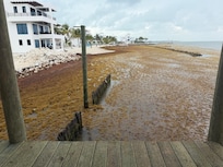 Bad season for sarcasm. They are out there trying to dig it out and haul it off but it’s a huge problem.