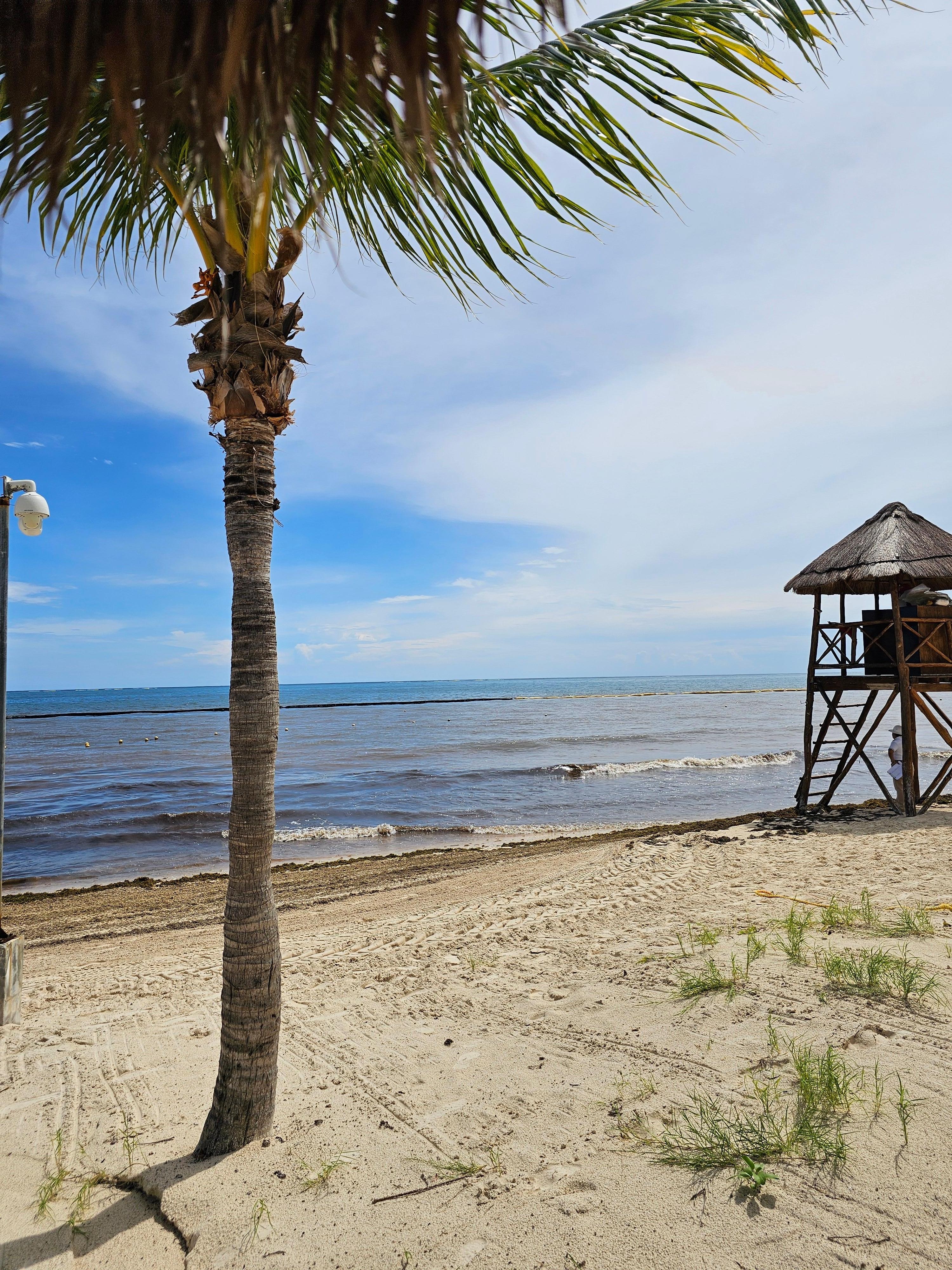 The water looked like mud, seaweed, just not as described 