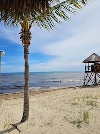 The water looked like mud, seaweed, just not as described
