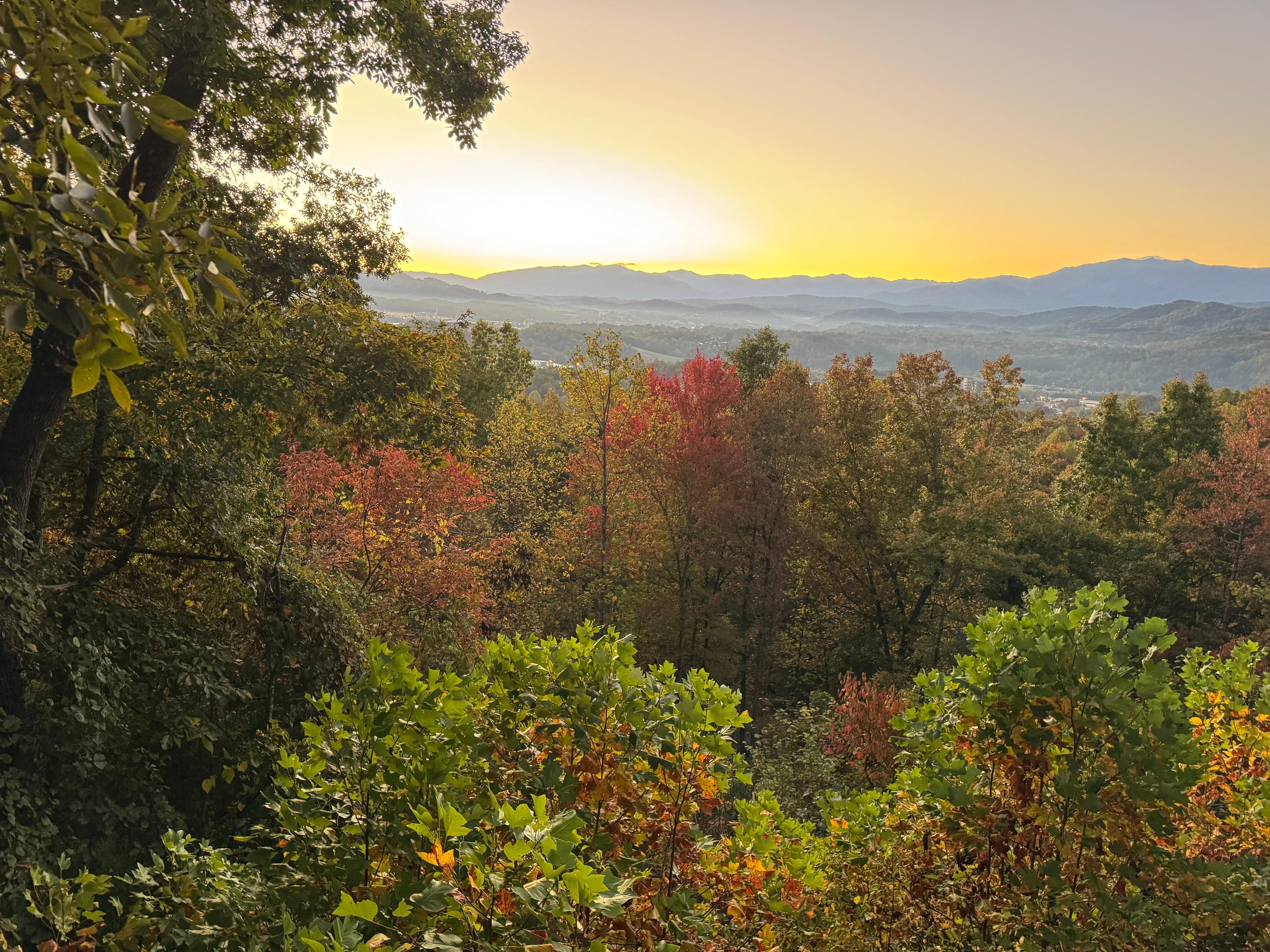 Morning view from the deck. 