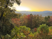 Morning view from the deck.