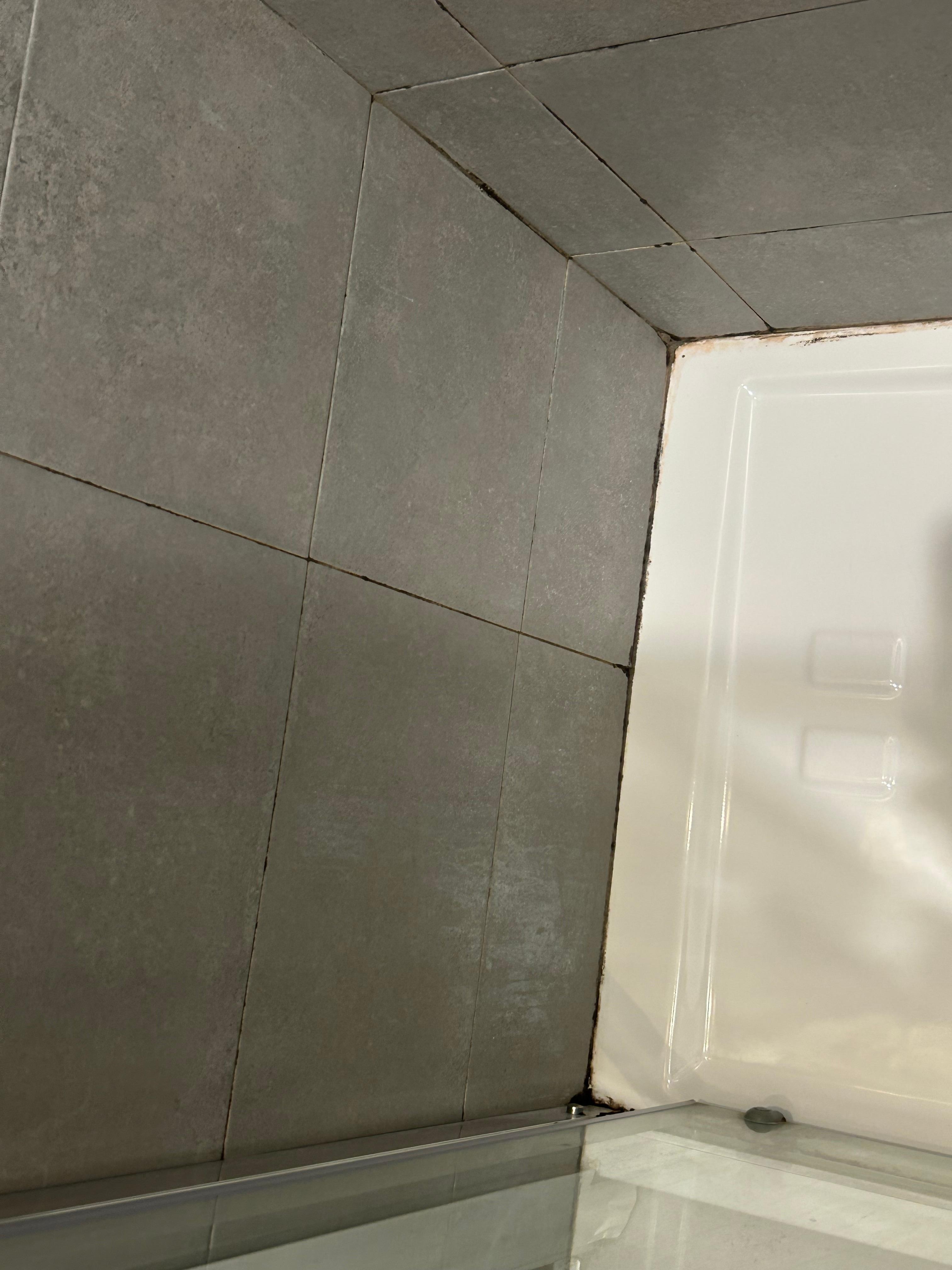 Mould in the showers