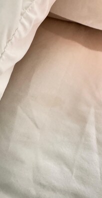 Stain