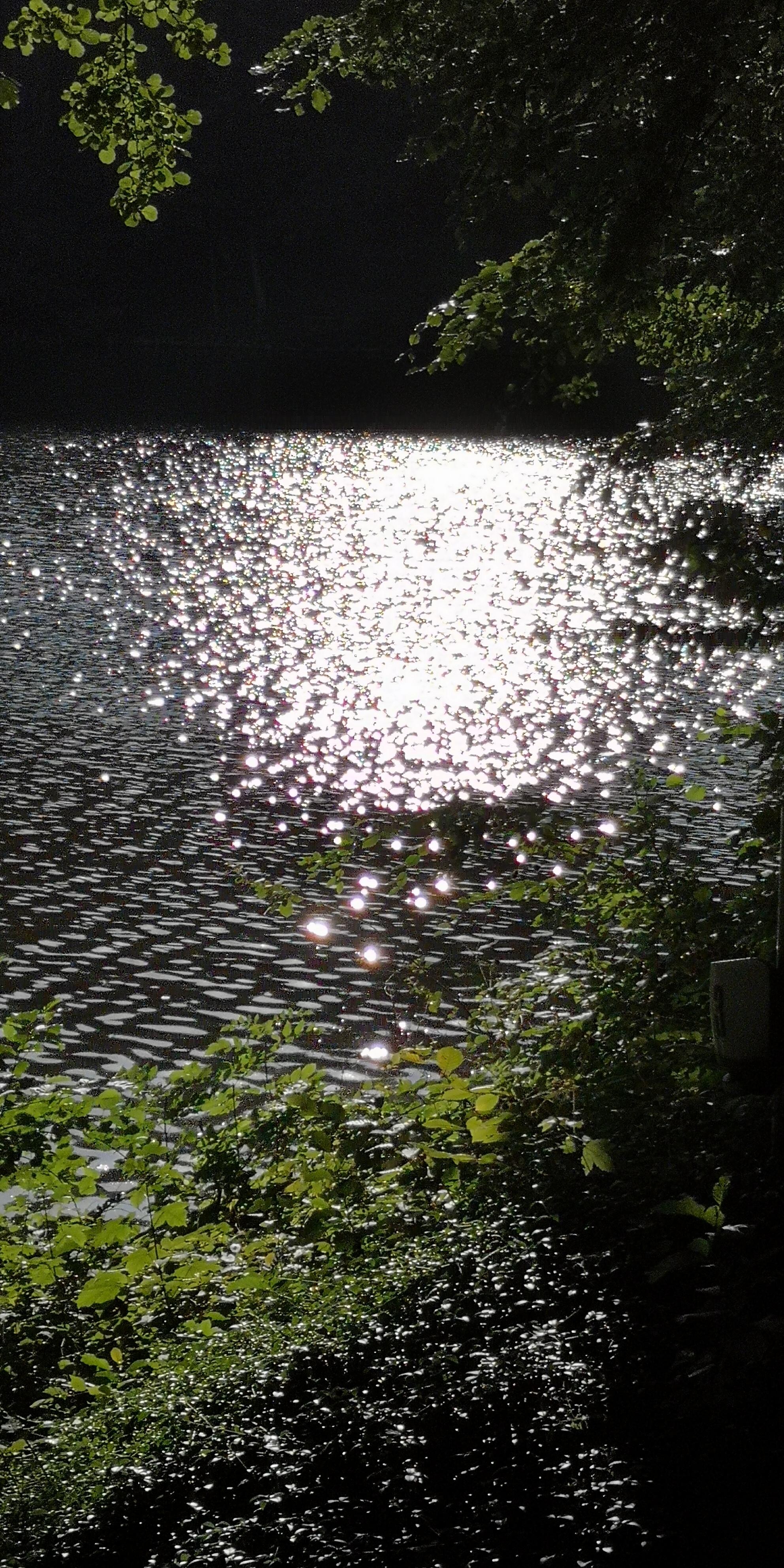 Der Blick von der Terrasse 