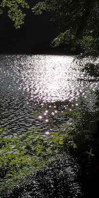 Der Blick von der Terrasse