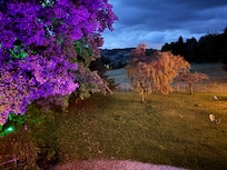 Room with a view - from the Oakhill Room