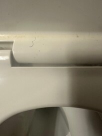 Hair in toilet seat cover
