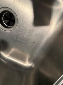 Bug