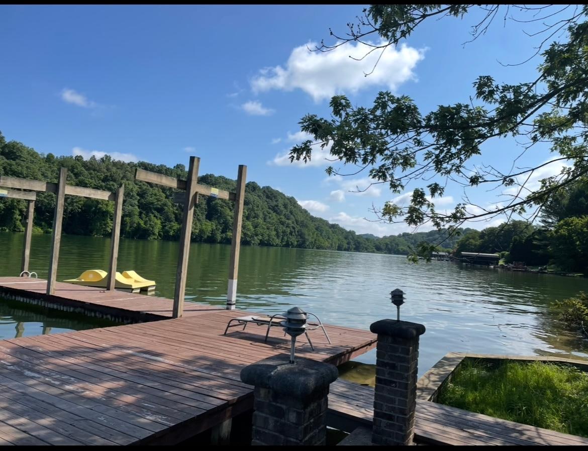 Dock and paddle boat 