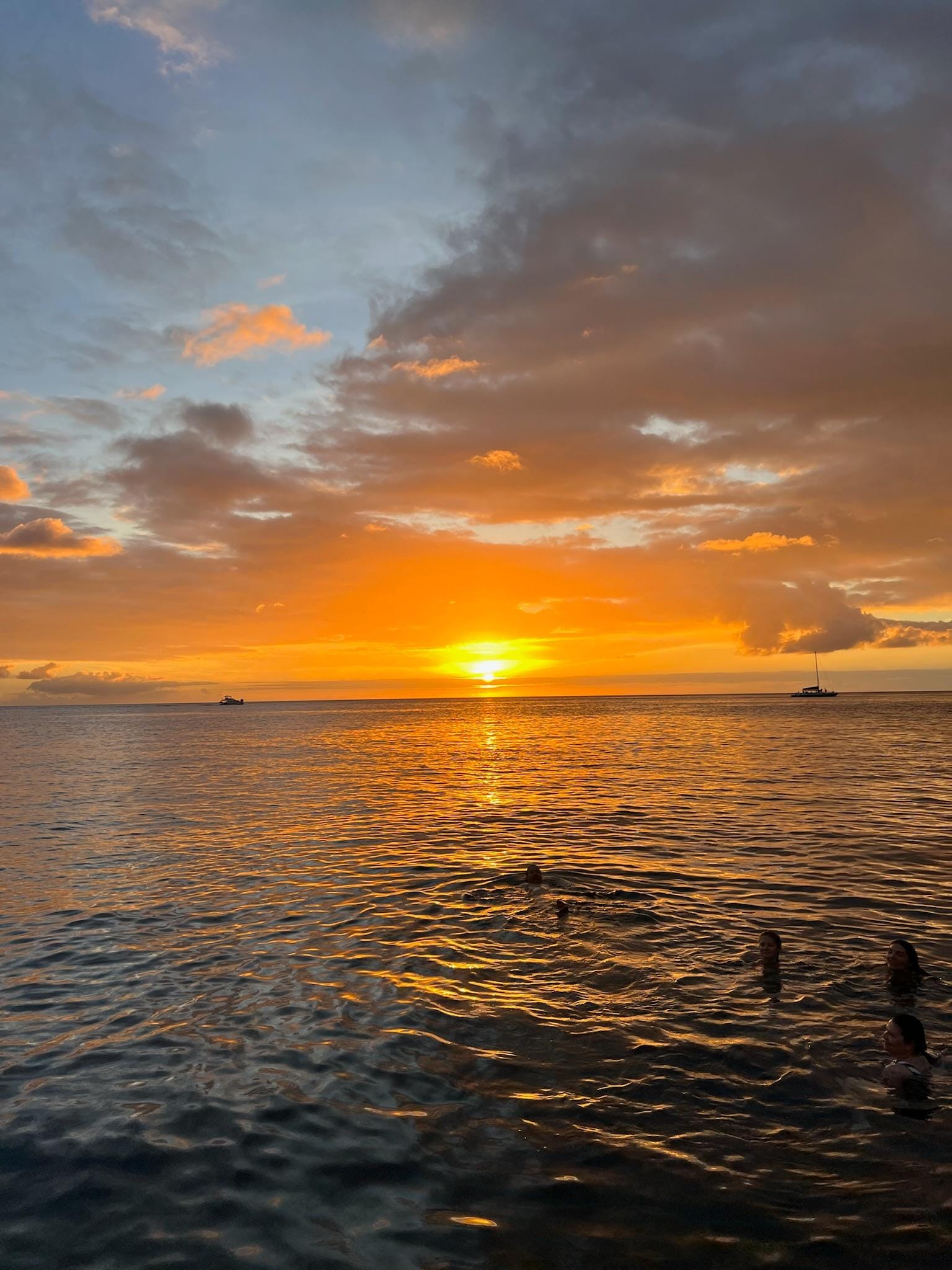 We saw the green flash!