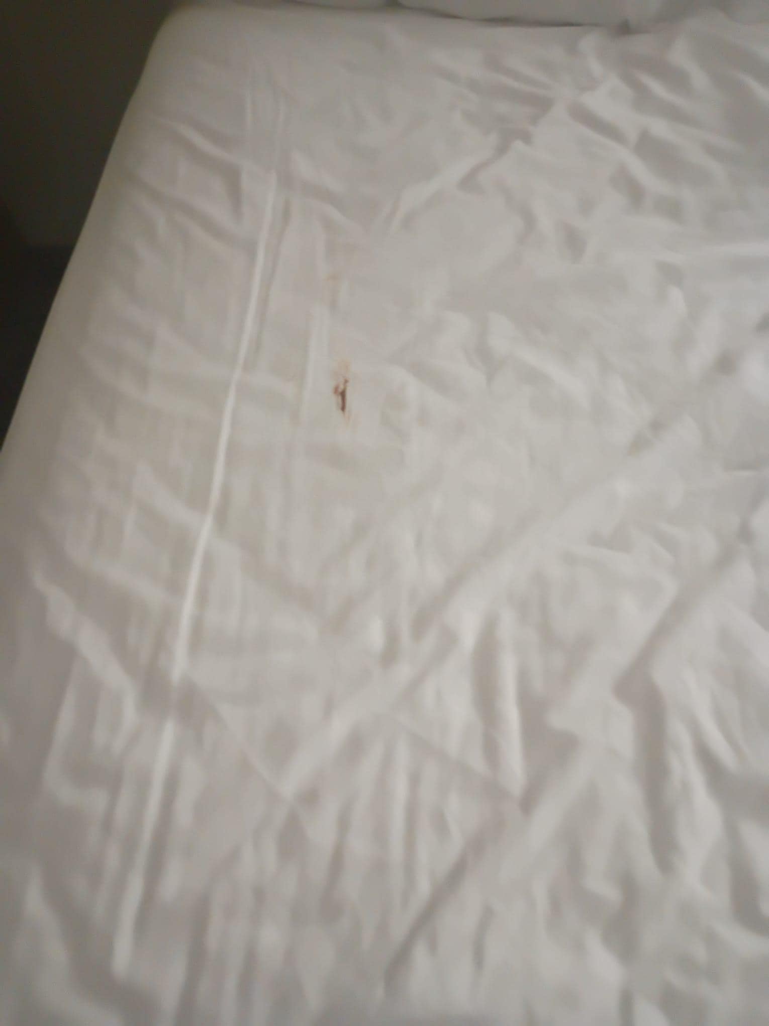 It looked like chocolate, or poop, couldn't tell what it was.... but it looked fresh.... 