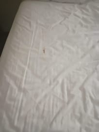 It looked like chocolate, or poop, couldn't tell what it was.... but it looked fresh....