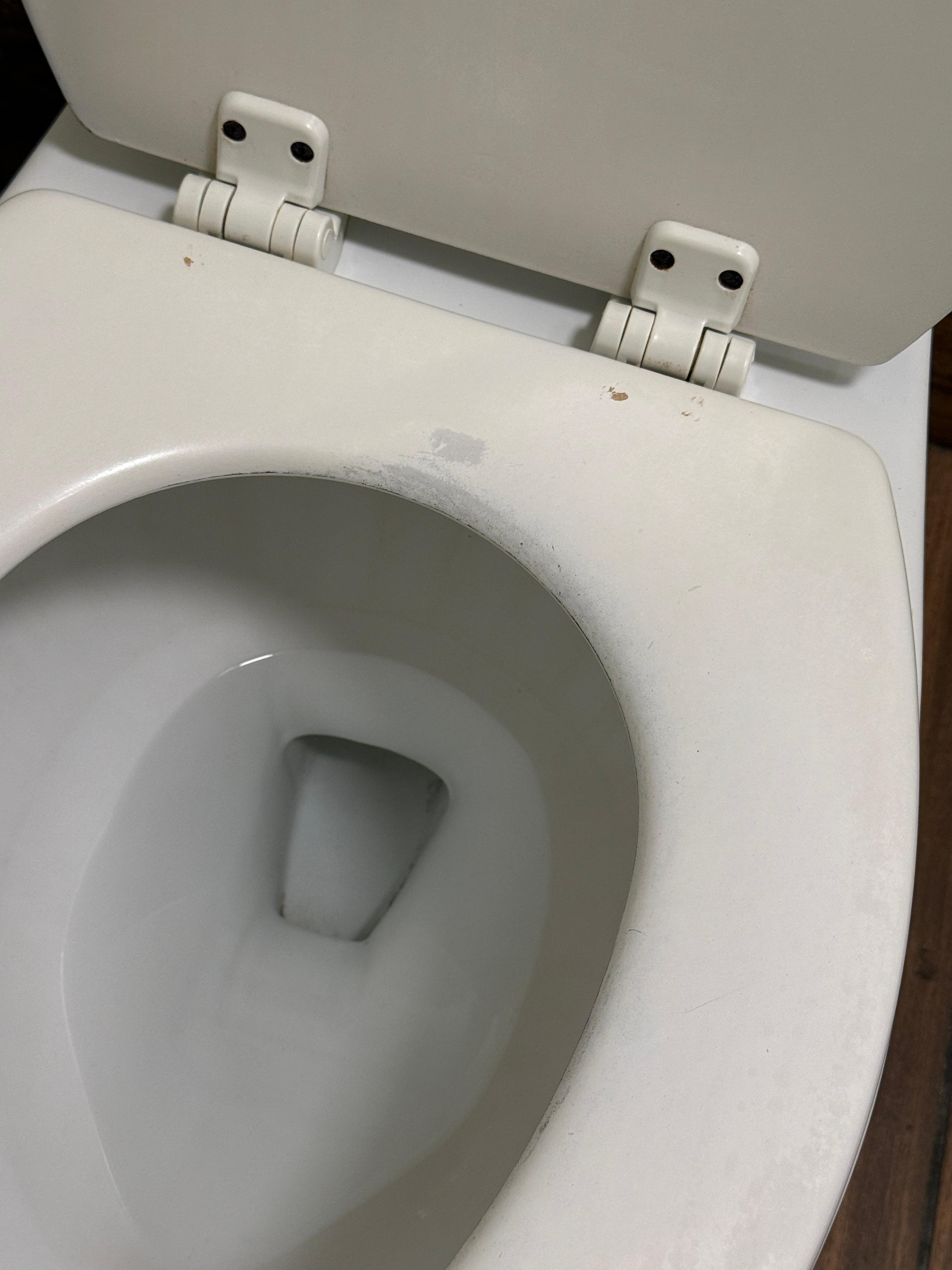 toilet seat needs to be replaced
