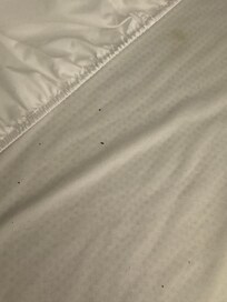 Debris