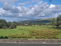 View from the window