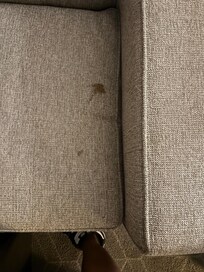 Spot walking into hotel