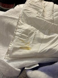 stain on the covers