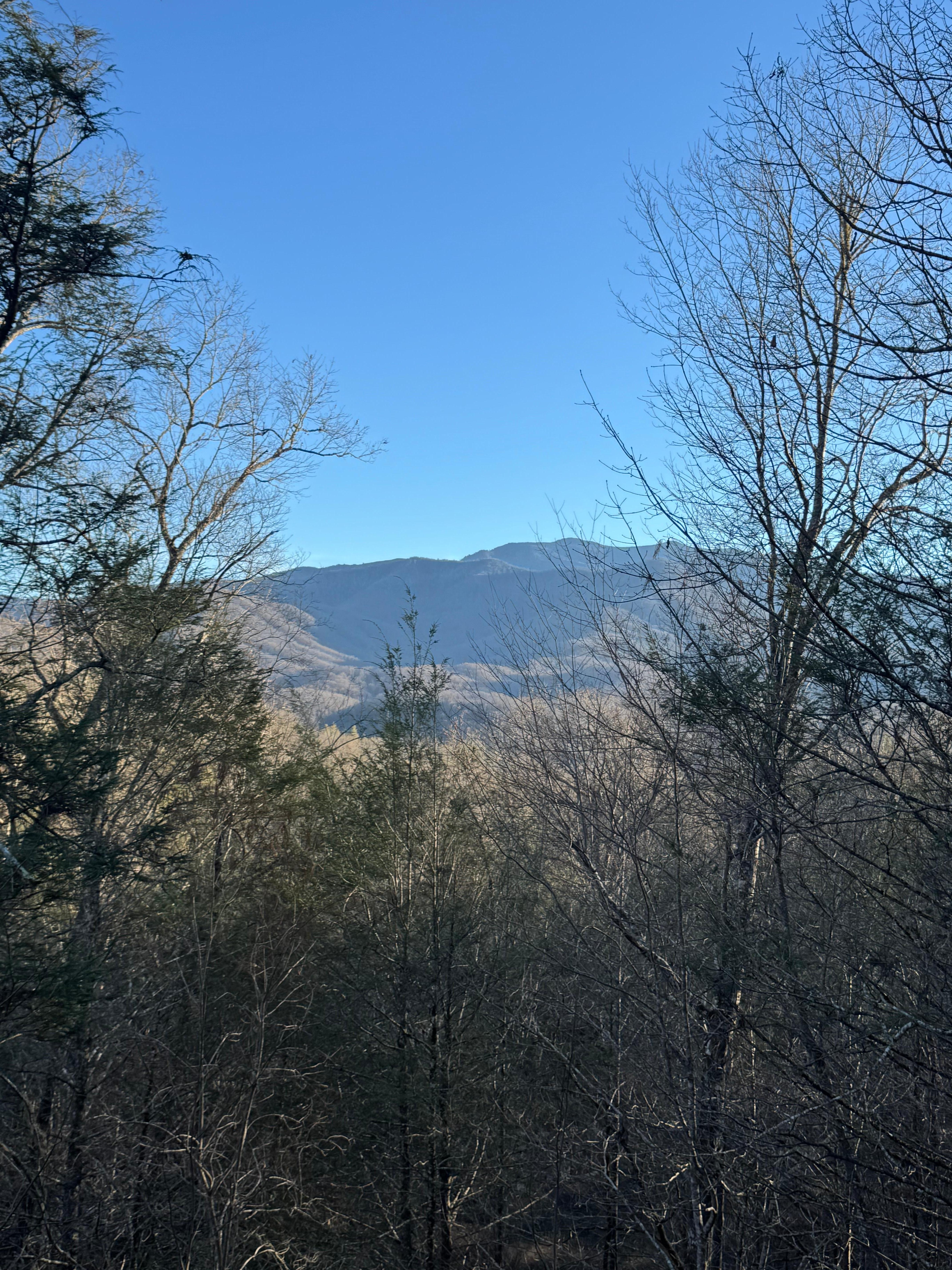 Great views of the Mountain