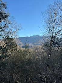 Great views of the Mountain